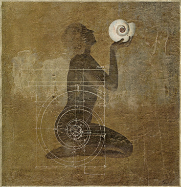 "Nautilus"