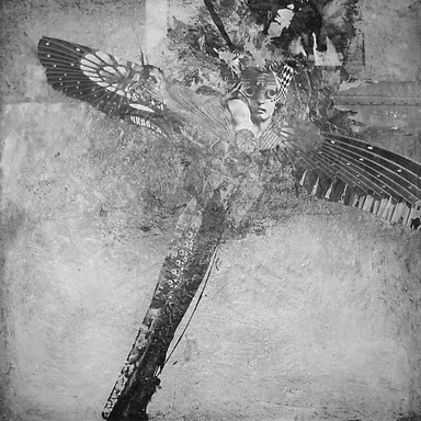 "Dragonfly"